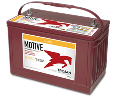 Trojan 31-AES